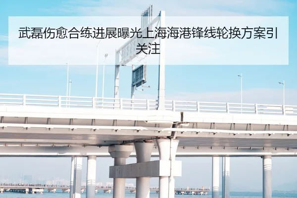 武磊伤愈合练进展曝光上海海港锋线轮换方案引关注